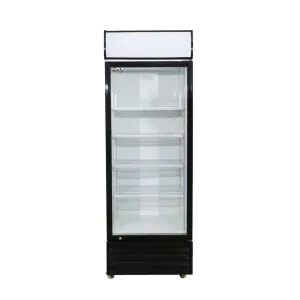Alpha Commercial Bottle Cooler 1 Door 450L