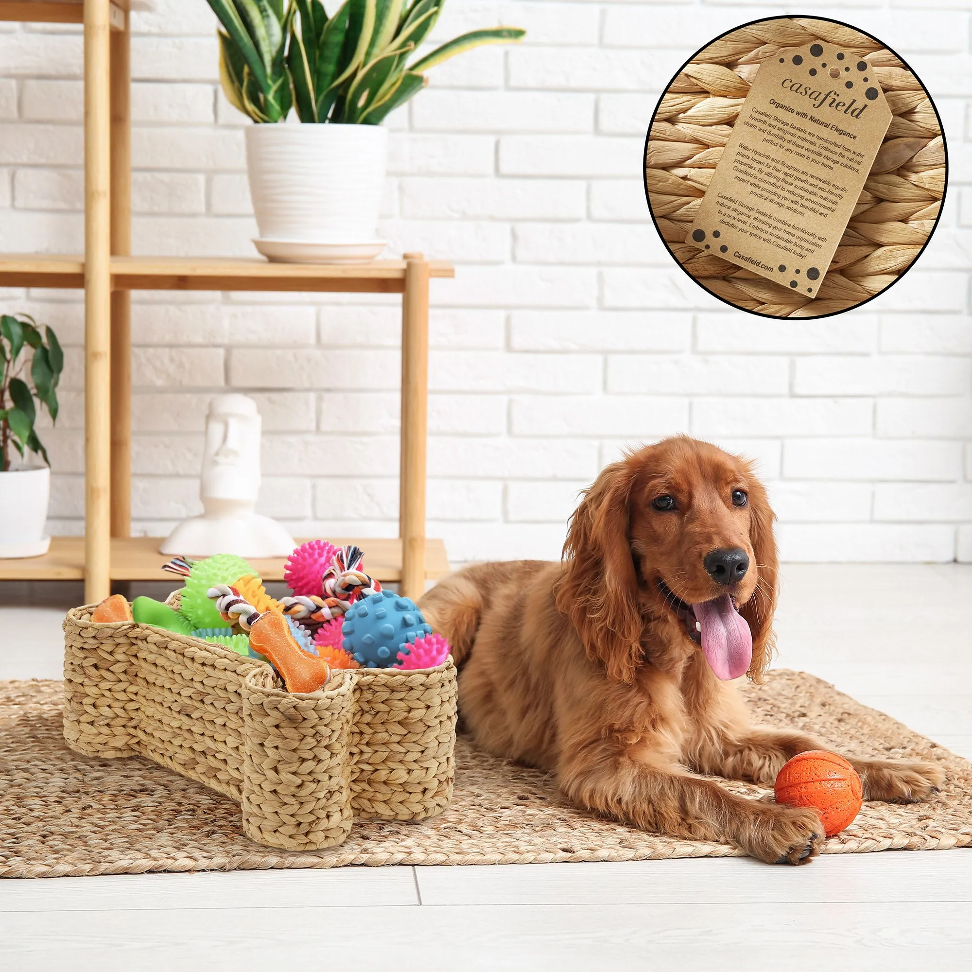 Dog Bone Shaped Basket for Pet Toys