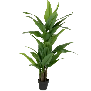 Heliconia 170cm