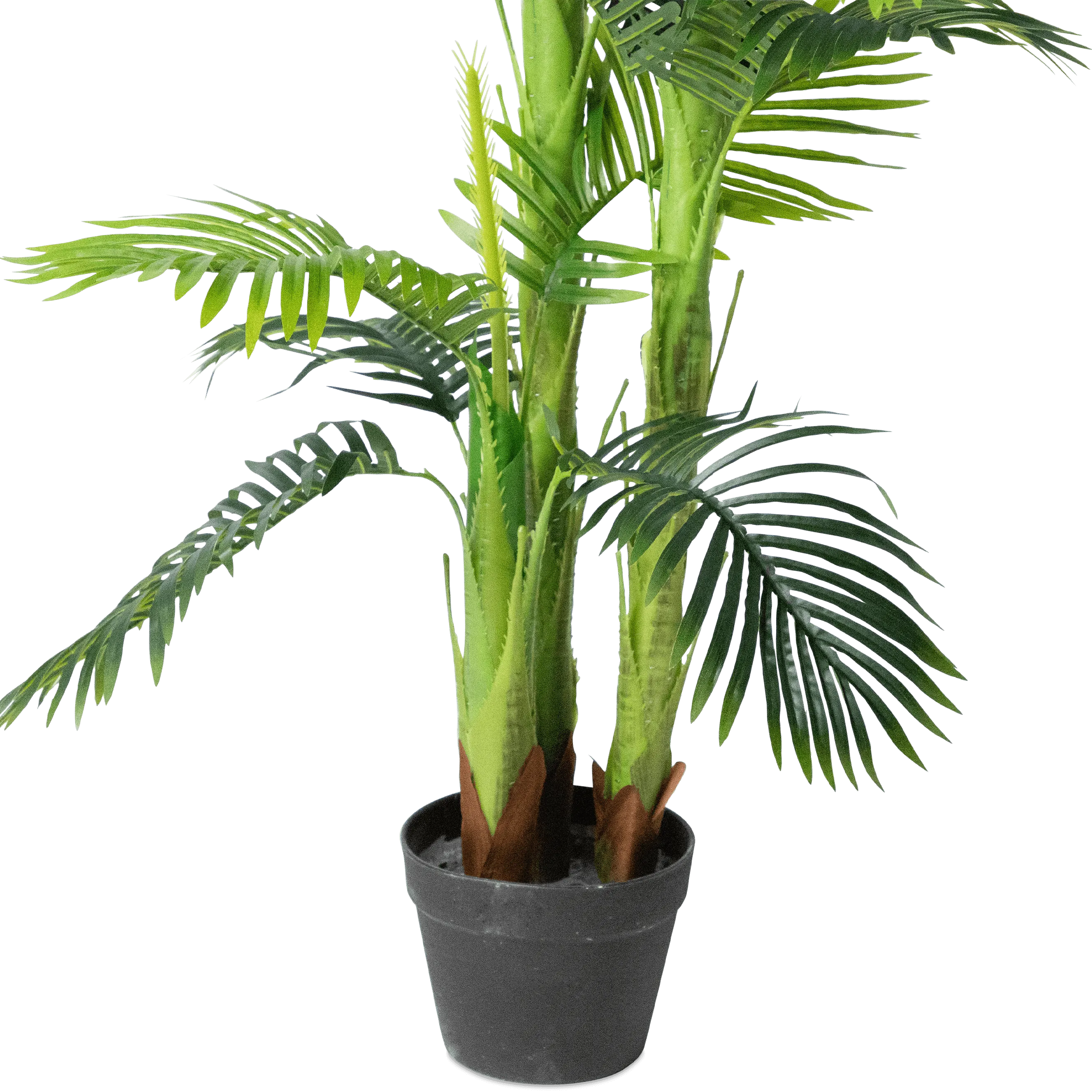Palm 150cm