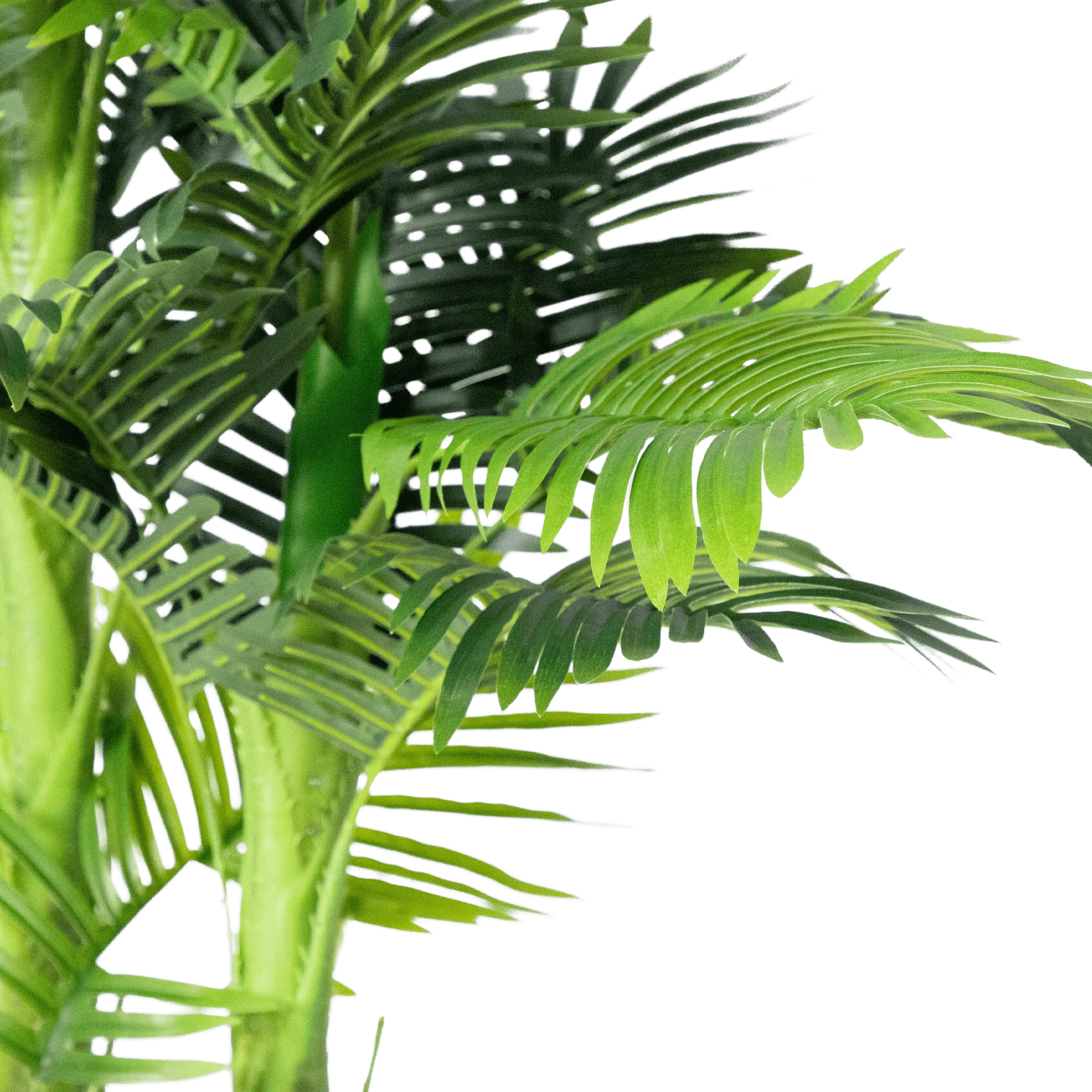 Palm 150cm