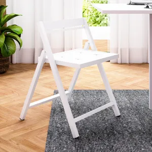 Pengu Folding Chair (2 Chairs)
