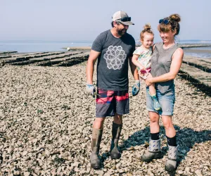 Wellfleet Oysters from Wellfleet, MA