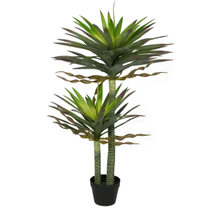 Yucca 120cm