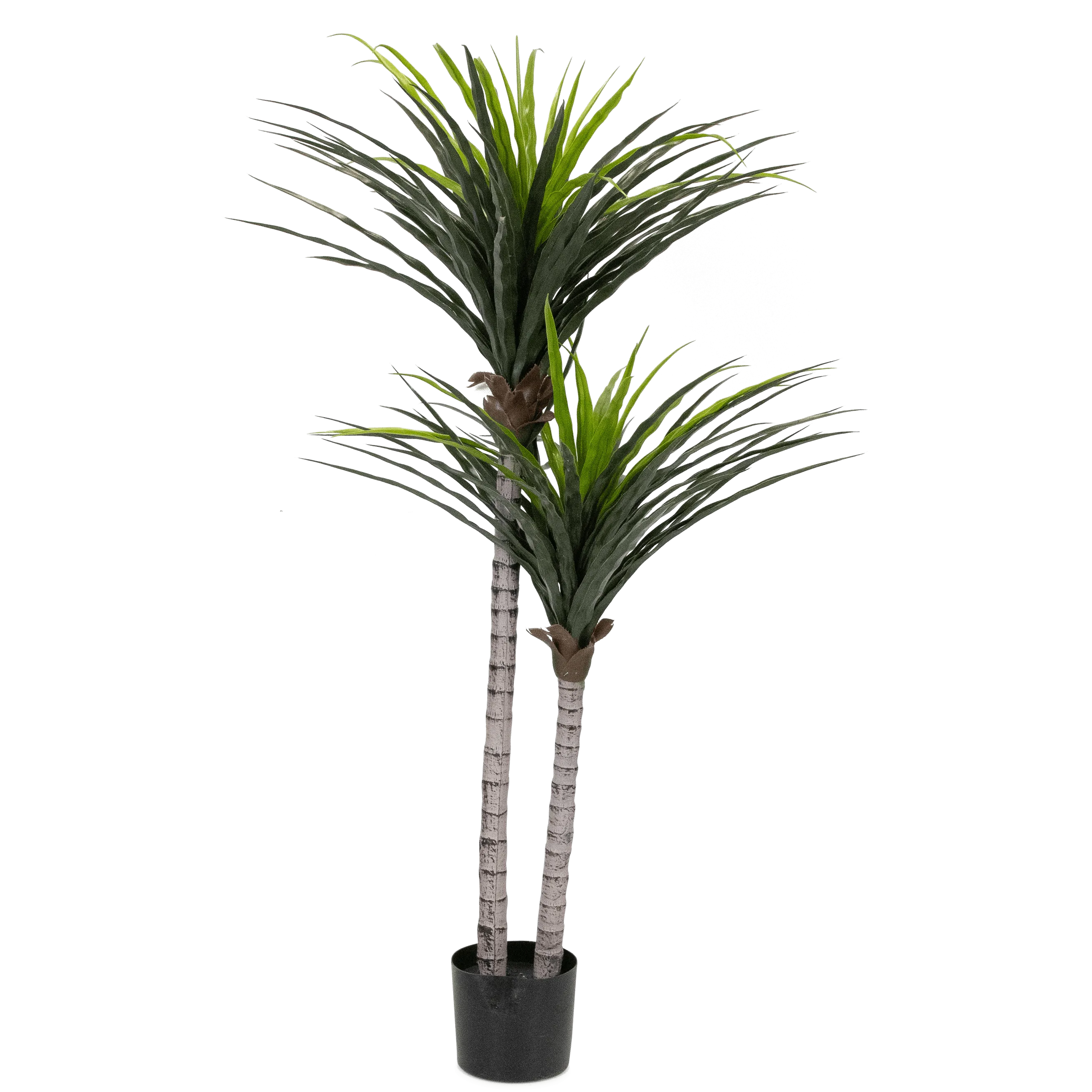 Yucca 130cm