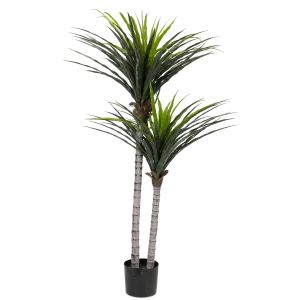 Yucca 130cm
